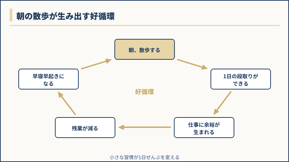 朝の散歩が生み出す好循環のサイクル図解